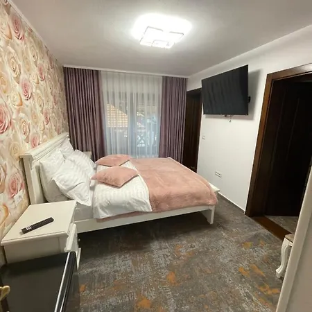 Pensiunea Alexolar New One Guest house Arada