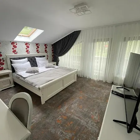 Pensiunea Alexolar New One Guest house *