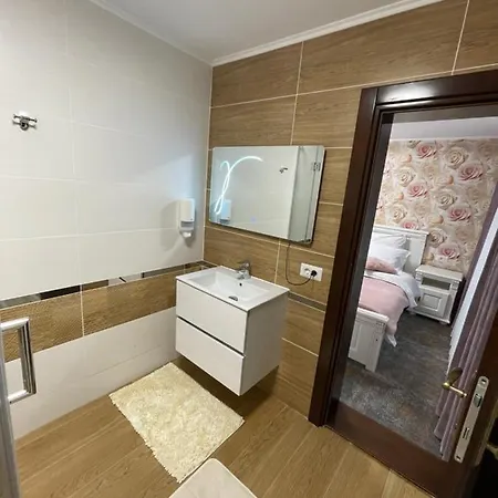 Pensiunea Alexolar New One Guest house
