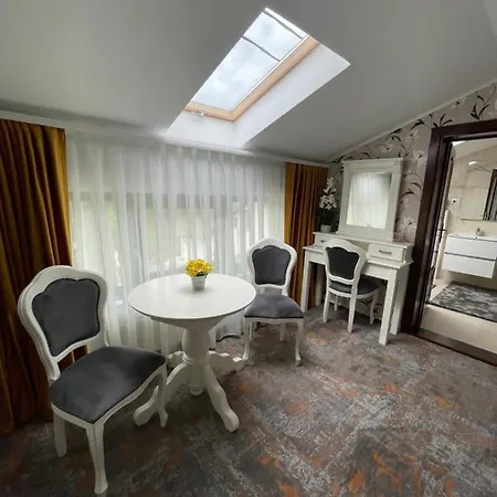 Guest house Pensiunea Alexolar New One