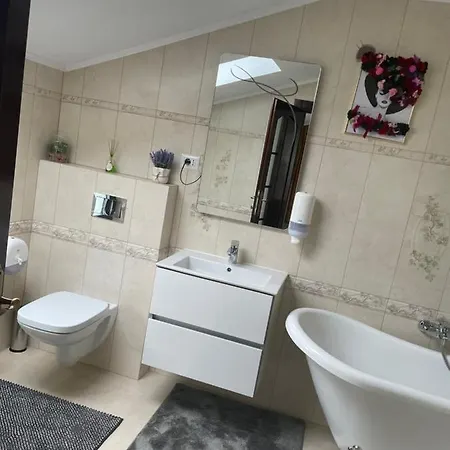 Pensiunea Alexolar New One Guest house Arada