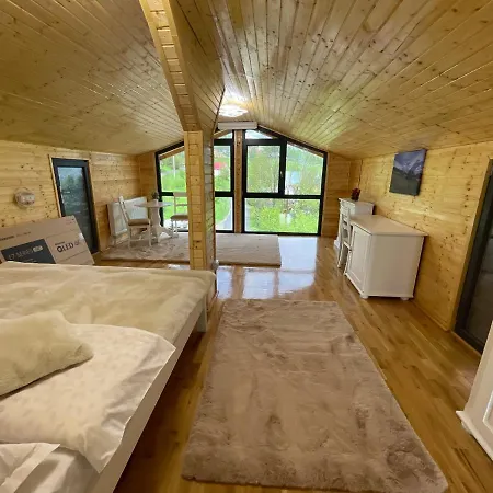 Guest house Pensiunea Alexolar New One