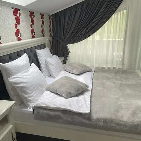 Guest house Pensiunea Alexolar New One *