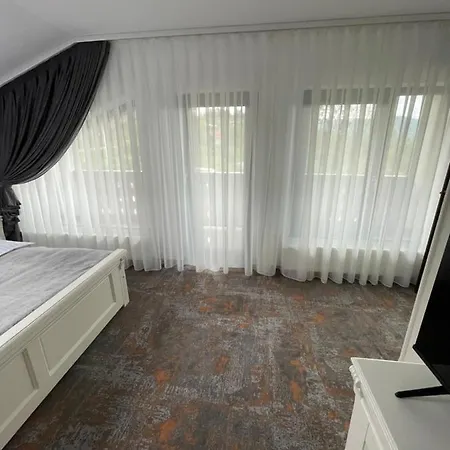 Pensiunea Alexolar New One Arada