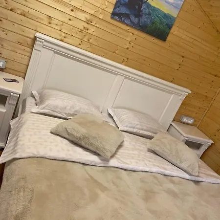 Guest house Pensiunea Alexolar New One Arada