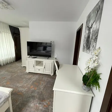Guest house Pensiunea Alexolar New One *