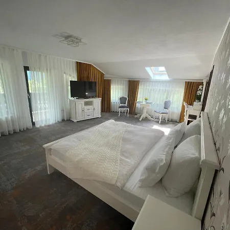 Pensiunea Alexolar New One Guest house Arada