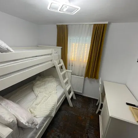 Pensiunea Alexolar New One Guest house Arada