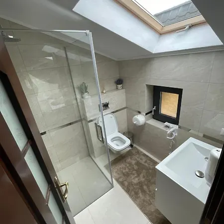 Guest house Pensiunea Alexolar New One *