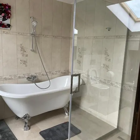 Pensiunea Alexolar New One Guest house Arada