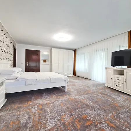 Guest house Pensiunea Alexolar New One