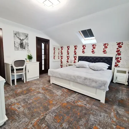 Pensiunea Alexolar New One Guest house